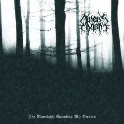 The Moonlight Guarding My Dreams